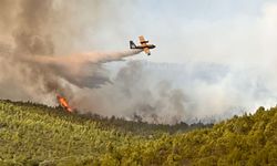 Muğla'da ormanlık alanda çıkan yangına müdahale ediliyor