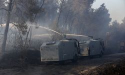 Muğla'da ormanlık alanda çıkan yangın kontrol altına alındı