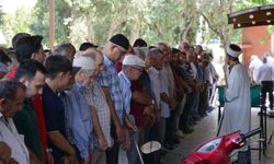 Manisa'da arıların soktuğu bal üreticisi öldü