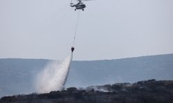 İzmir'de makilik alandaki yangın kontrol altına alındı