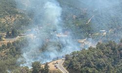 Çıkan orman ve makilik alan yangınları kontrol altına alındı