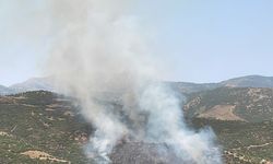 Orman ve makilik alanlarda çıkan yangınlara müdahale ediliyor
