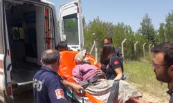 Denizli'de kaybolan 100 yaşındaki kadın bulundu