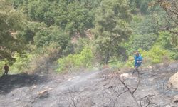 Alaşehir'deki orman yangını kontrol altına alındı