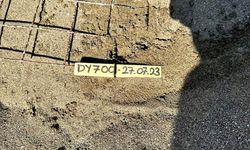 İztuzu sahilindeki caretta caretta yuvalarının sayısı 700'e ulaştı