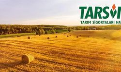 TARSİM heyeti, Manisa'da hasar tespit çalışmalarına katıldı