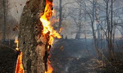Muğla Valiliğinden orman yangınlarına karşı dikkatli olunması uyarısı