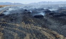 65 dekarlık tarım arazisi yangında zarar gördü