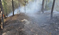 Alaşehir'deki makilik yangını kontrol altına alındı
