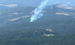 Demirci'de çıkan orman yangını kontrol altına alındı