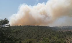Çıkan orman yangınına müdahale ediliyor