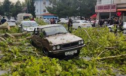 Fırtına nedeniyle kırılan ağaç dalları park halindeki araçlara zarar verdi