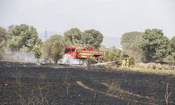 Uşak'ta buğday ekili tarım arazisinde yangın çıktı