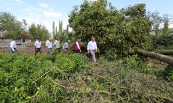 Dolu ve fırtınadan etkilenen tarım alanlarında hasar tespiti yapıldı