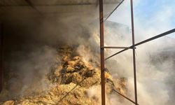 Uşak'ta çıkan yangında bir metruk ev ile saman ve buğday deposu yandı