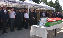 Trafik kazasında Afyonkarahisar AFAD yetkilisi hayatını kaybetti