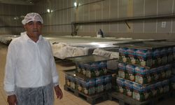 Karslı peynir üreticisi Kütahya'daki yatırımını devlet desteğiyle büyüttü
