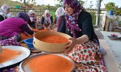 Uşak'ın tarihi, doğal güzellikleri, tarhanası, alaca tenesi ve bir çok değeri bu haberde