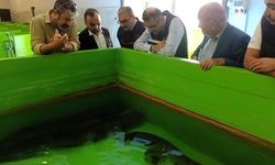 İl Müdürü Bilir'den Uşak'ta Kurulan Yavru Balık Üretim Tesisine Ziyaret