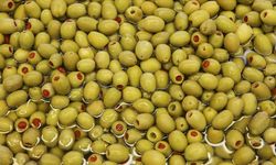 EİB "zeytin ihracatı 184,5 milyon doları buldu"