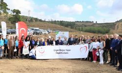 "Organ Bağışı Hatıra Ormanı" oluşturuldu