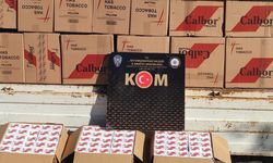 590 bin makaron ele geçirildi