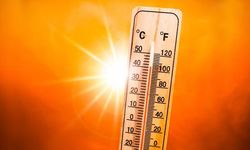 Hava sıcaklığı 30,2 dereceyle son 64 yılın en yüksek kasım değerine ulaştı