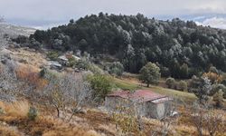 Uşak'ta yılın ilk kar yağışı görüldü