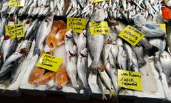 Uşak’ta balık fiyatları cep yakıyor