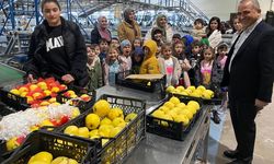 Anasınıfı öğrencilerinden meyve işletmesine ziyaret