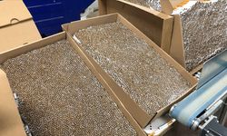 1 milyon 600 bin makaron ele geçirildi