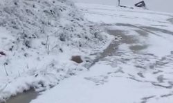 Banaz’da yüksek kesimlerde kar yağışı etkili oldu