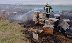 Arı kovanları, ot yangınından kullanılamaz hale geldi