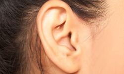 Kulak memesindeki çizgi, kalp-damar hastalığı riskine işaret edebilir