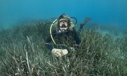 Dalyan Kanalı havadan ve su altından görüntülendi