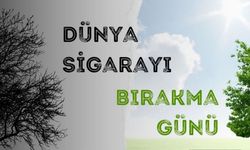 Sigarayı Bıraktırmada Dünya Ortalamasının Üstündeyiz