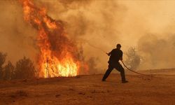 Bozdoğan'da çiftlikte çıkan yangın söndürüldü