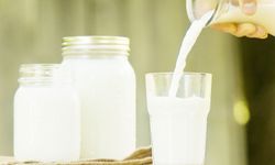 Çiğ Süt Üretimi Azaldı