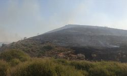 İzmir'de makilik alandaki yangın kontrol altına alındı