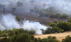 İzmir'de yangın bölgesinden dönen arazöz devrildi, operatör hayatını kaybetti