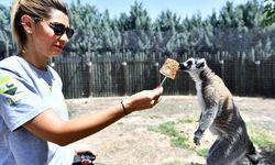 İzmir Doğal Yaşam Parkının sakinlerine "yaz menüsü"