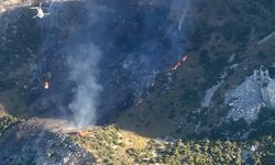 İzmir'in Karaburun ilçesinde çıkan orman yangını kontrol altına alındı