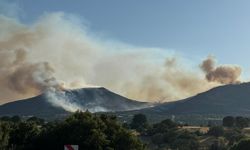 Ulubey'de çıkan orman yangınına müdahale ediliyor