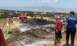 Denizli'deki anız yangını ormana sıçramadan söndürüldü