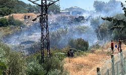 Milas'ta makilik alanda çıkan yangın söndürüldü