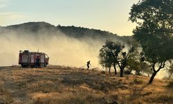 Afyonkarahisar'da bademlik ve otluk alanda çıkan yangın söndürüldü