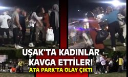 Ata Park’ta kadınların oluşturduğu 2 grup kavgaya tutuştu