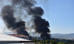 Bergama'da orman yangını çıktı