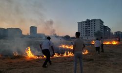 Yazın havai fişekler yasaklanmalı !