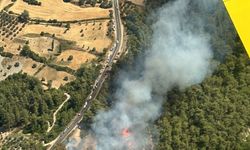 Muğla'nın Milas ilçesinde orman yangını çıktı